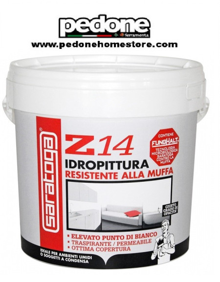 Pittura antimuffa Z14 Saratoga con FUNGHALT 4lt